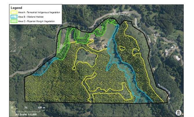 A map of a forest

Description automatically generated